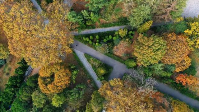 中国海洋大学怎么样?美景、美食云集理想院校具象化!(图4) 中国海洋大学怎么样?美景、美食云集理想院校具象化!(图4)