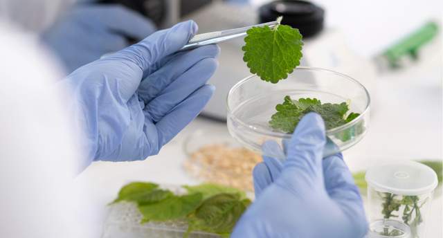 明治、麒麟控股等企业确认分享! FBIF2025功能性配料创新论坛(图13) 明治、麒麟控股等企业确认分享! FBIF2025功能性配料创新论坛(图13)