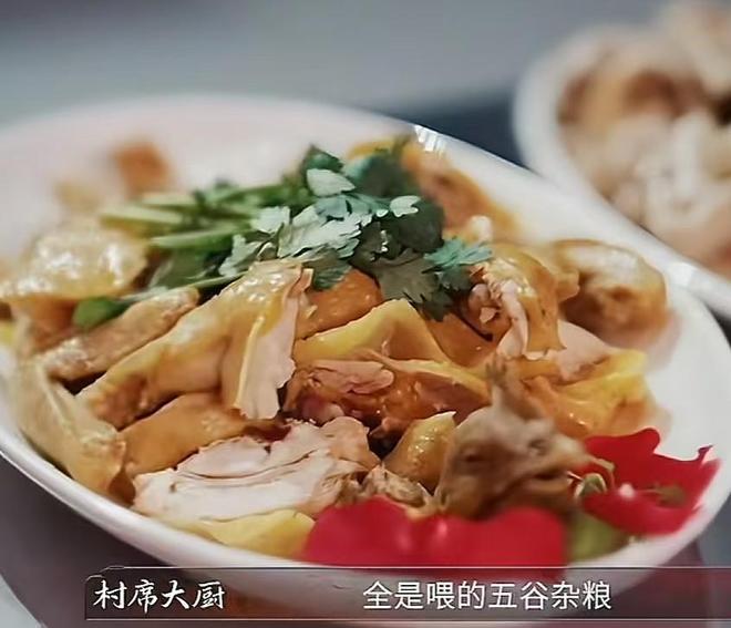 全红婵哥哥参加厨综被淘汰评论区一边倒官媒都“无语”了(图5) 全红婵哥哥参加厨综被淘汰评论区一边倒官媒都“无语”了(图5)