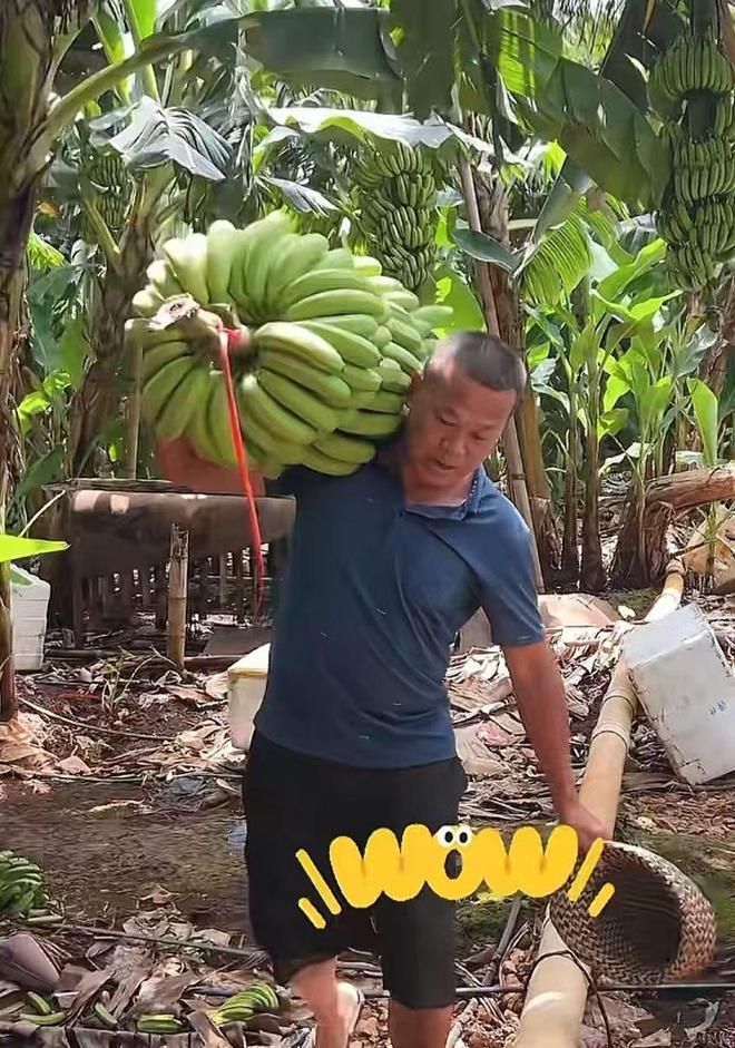 全红婵哥哥参加厨综被淘汰评论区一边倒官媒都“无语”了(图19) 全红婵哥哥参加厨综被淘汰评论区一边倒官媒都“无语”了(图19)