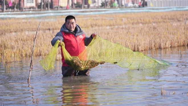 不止是夏夜美食潜江告诉你:冬季也能吃上鲜美的小龙虾(图3) 不止是夏夜美食潜江告诉你:冬季也能吃上鲜美的小龙虾(图3)